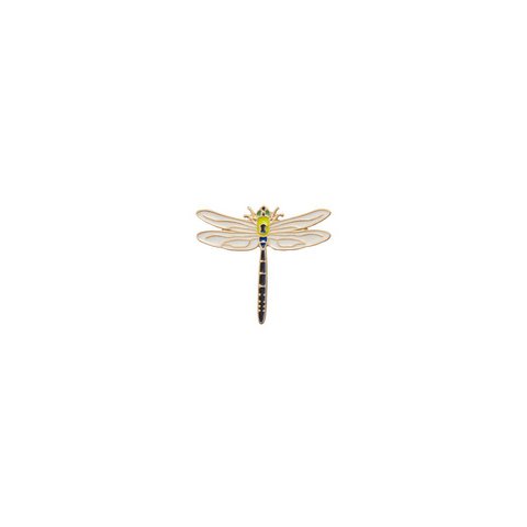Pin Dragonfly