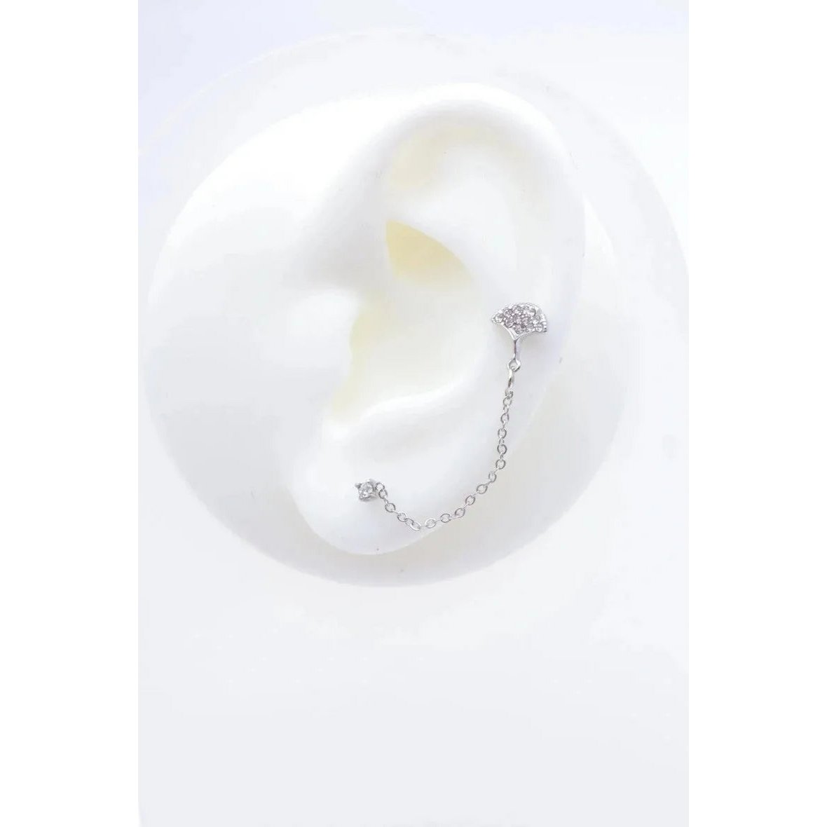 Stainless steel earrings