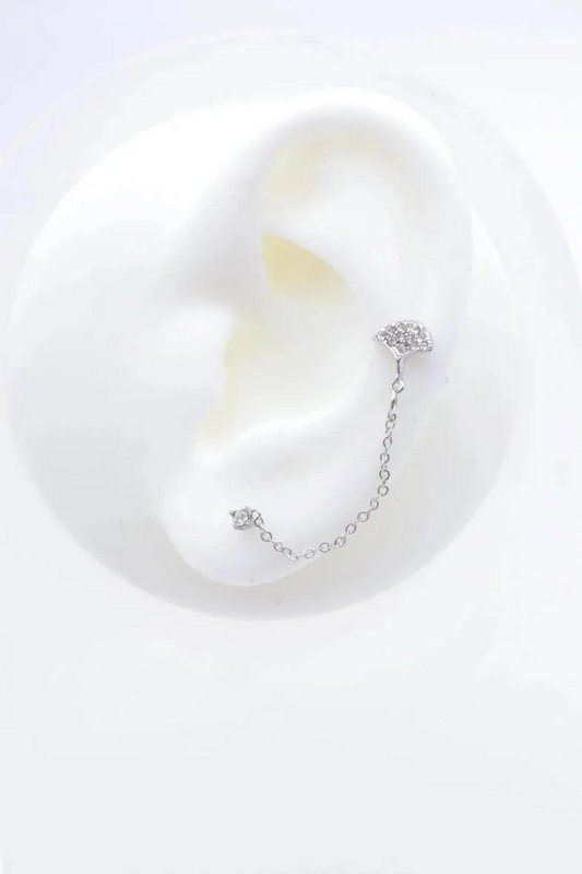 Stainless steel earrings