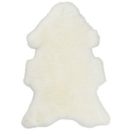 Weißes Texel-Schaffell | 4 Varianten