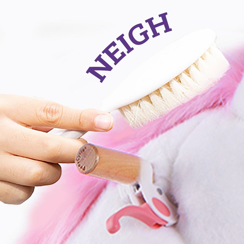 PonyCycle toy Accessories Feed & Care Set - Pink& Blue-5-Piece Assortment, Grooming Brush, Pet Brush, Carrot, Sticker, Name Tag