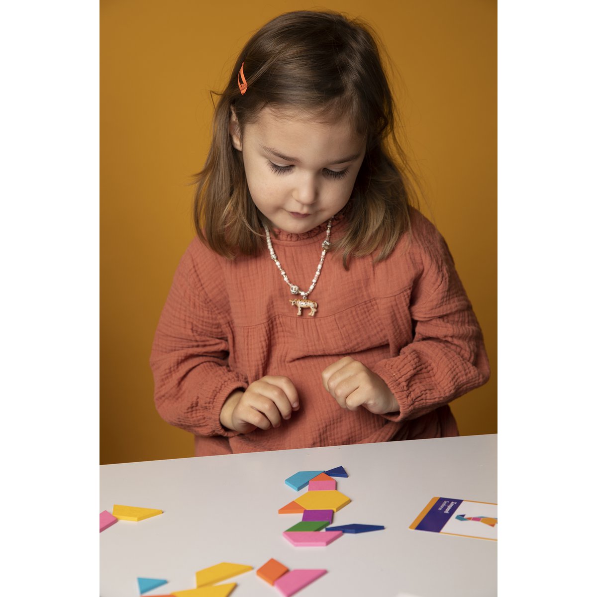 Tough Animal Patterns Puzzle