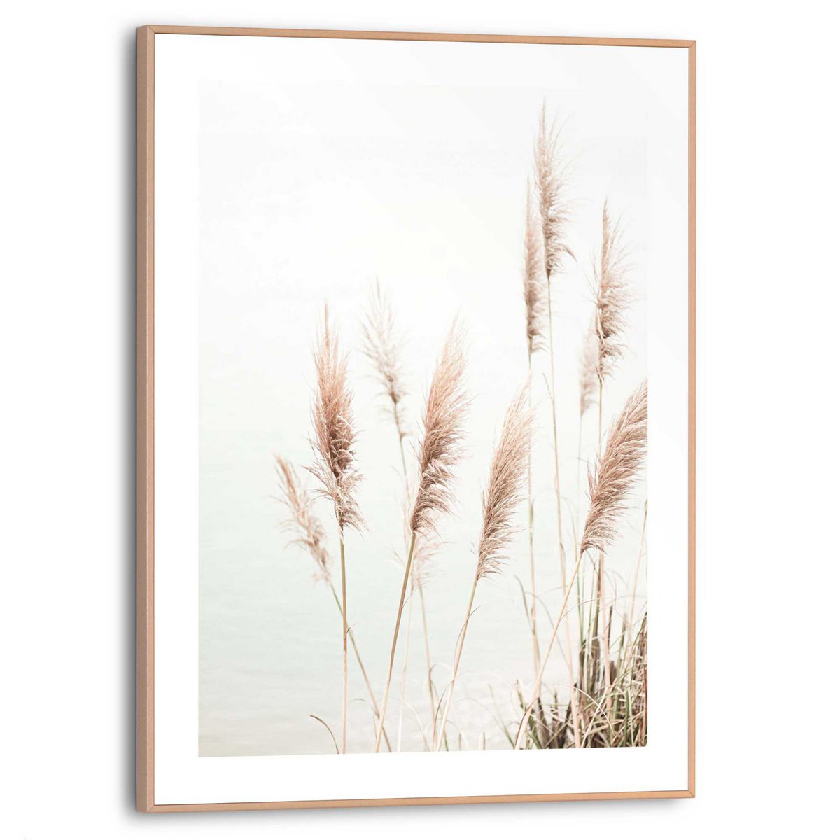 Painting Slim Frame Pampas 40x30