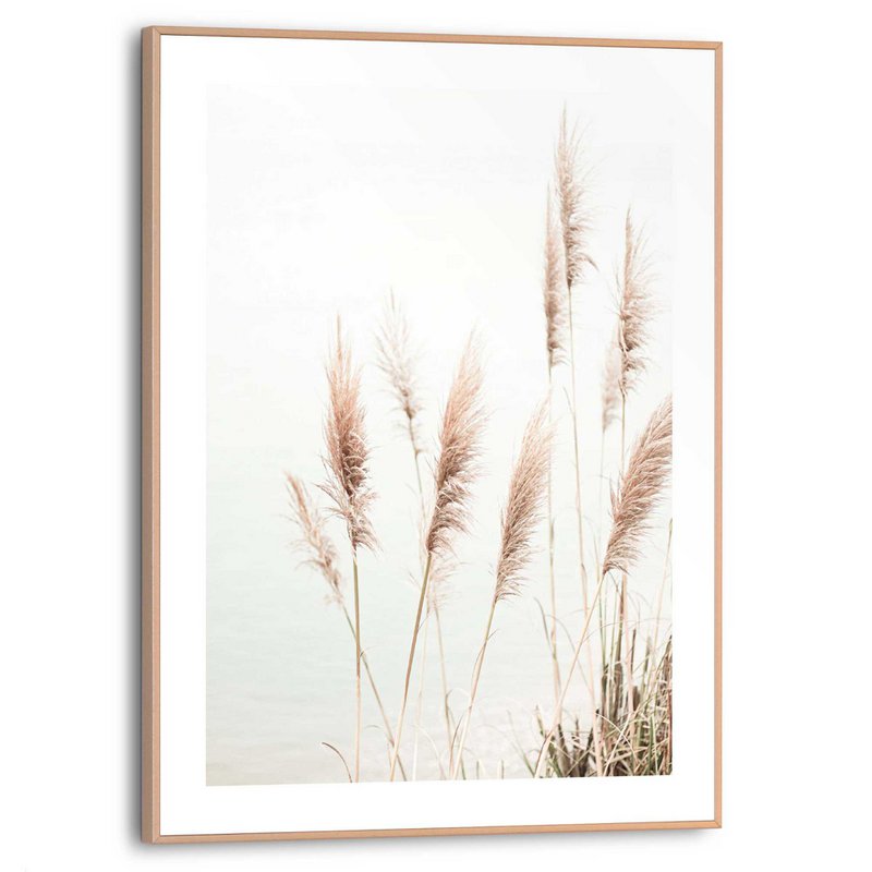 Painting Slim Frame Pampas 40x30
