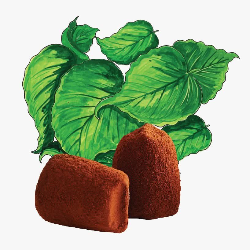 Truffles al cioccolato menta - Bulk
