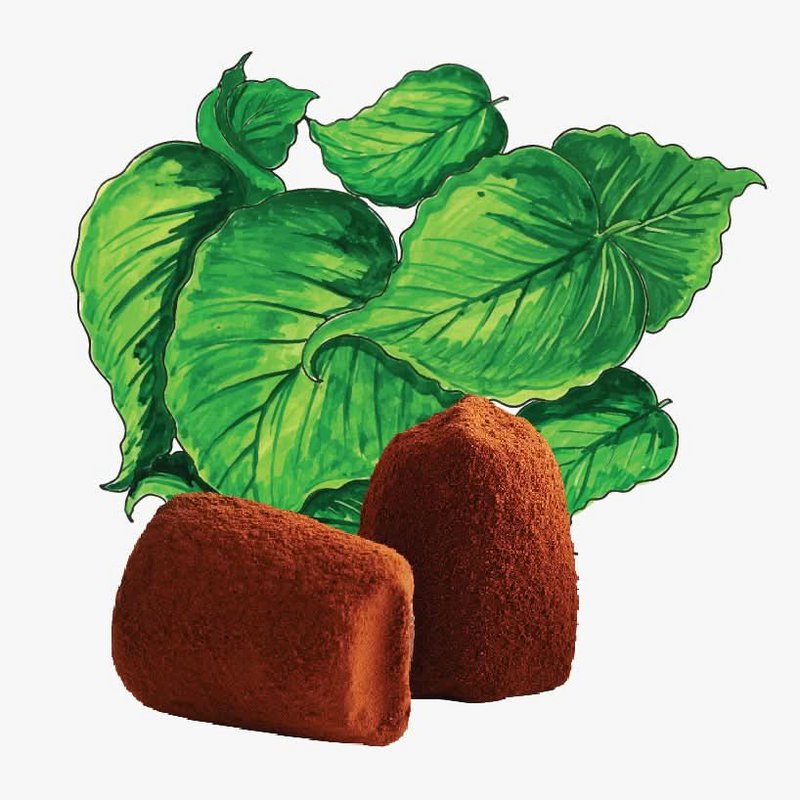 Truffles al cioccolato menta - Bulk