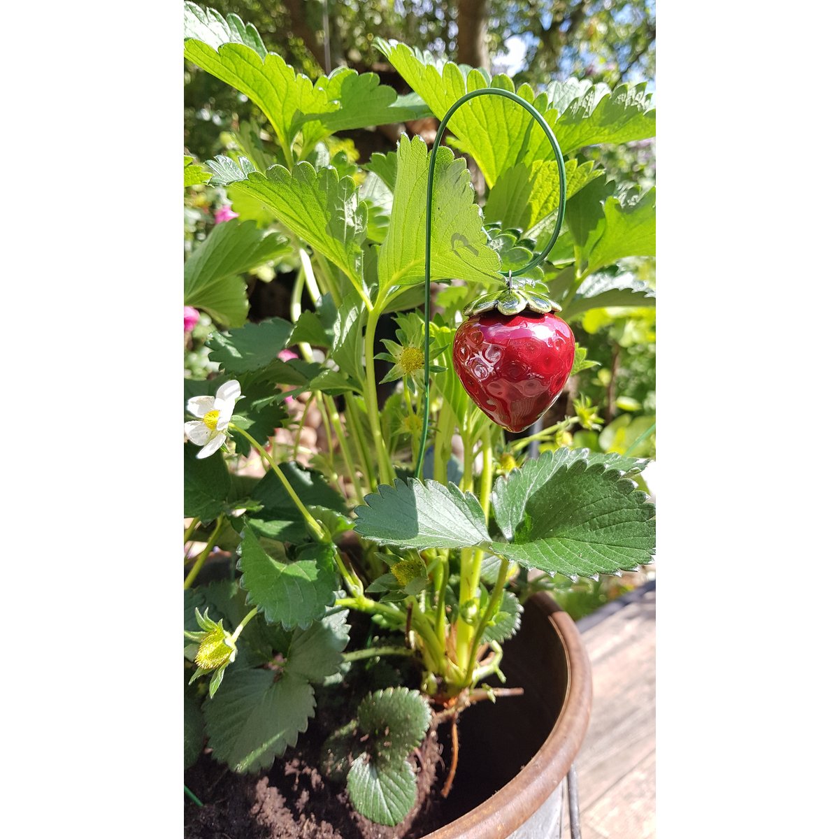 Aardbei keramiek plantenprikker 5 cm