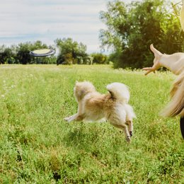 juguete para perros con pídico para perros NE & NO®