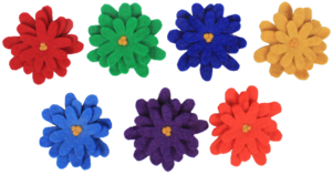 Rainbow Asters/7pc