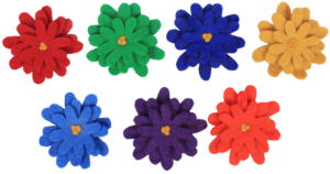 Rainbow Asters/7pc
