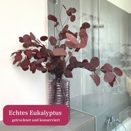 Eucalyptus red