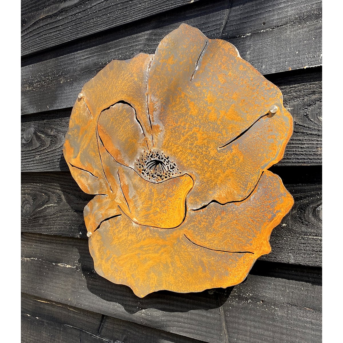 Wall Flower M