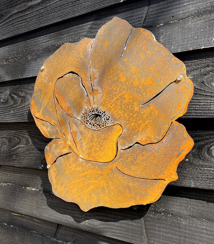Vægblomst M