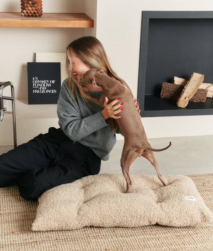 Beige Shearling Hundesengepude, Bela