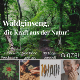 Firming body butter with ginseng
