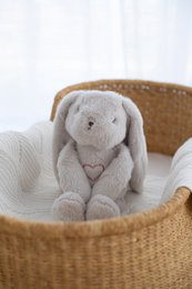 Lulla Bunny sleeping toy