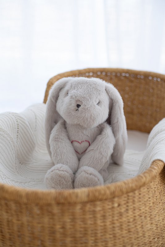 Lulla Bunny sleeping toy