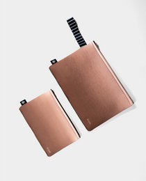 Small châtaignier de la pochette
