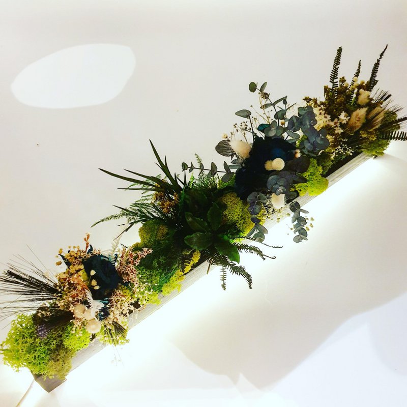 Barra de verduras estabilizada 50cm LED