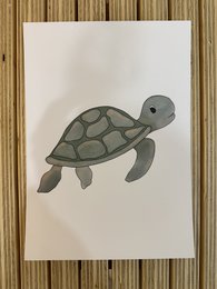 Sea animals poster
