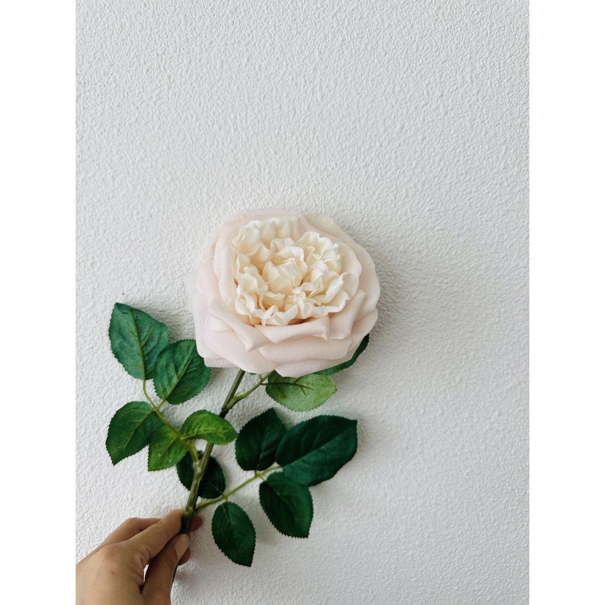 QMF Touch Rose 65cm Lys pink 2STK