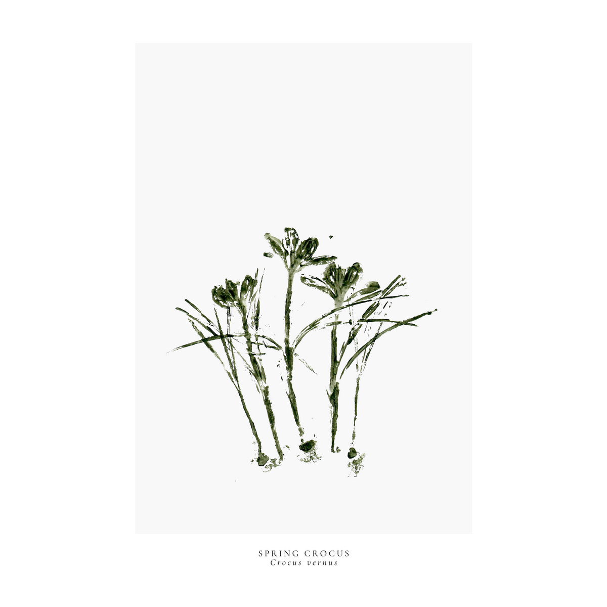 a year in bloom. Set of 12 handprinted floral postcards.