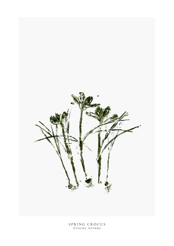 a year in bloom. Set of 12 handprinted floral postcards.