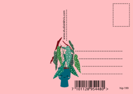 Piante nuova casa