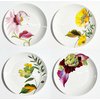 Botanical Wonders - Set of 4 dinner plates