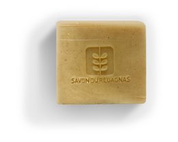 Solid Shampoo