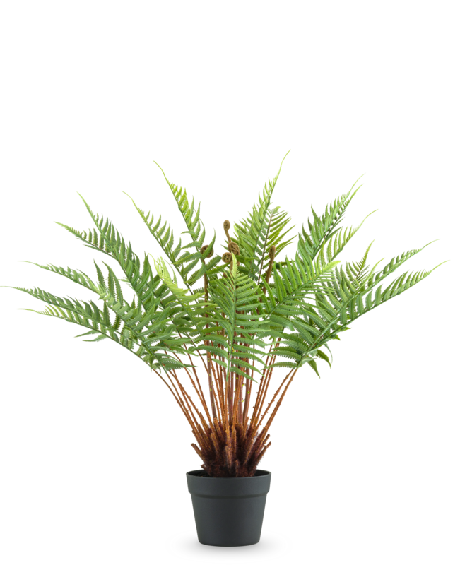 Pianta artificiale Felce 66 cm