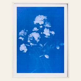 Floral art print poster featuring a delicate rose design in shades of blue. The poster has a minimalist, botanical style that would complement a variety of home decor styles.