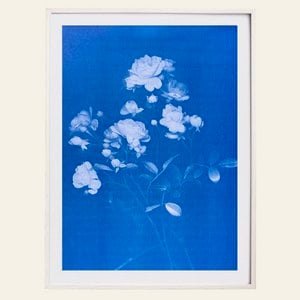 Risography - Artprint poster - Rose - Din A3