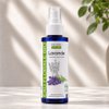Hydrolat de Lavande Bio