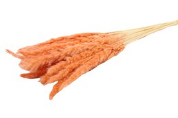 Soffici pampas - per mazzo - 70 cm - bianchi - fiori secchi