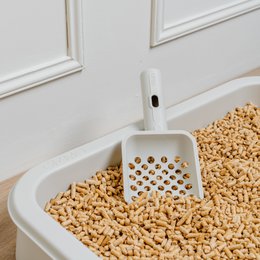 GIZMO Deluxe kattebakke
