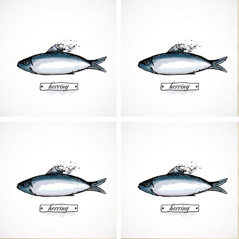 Stone Coaster Set - Herring