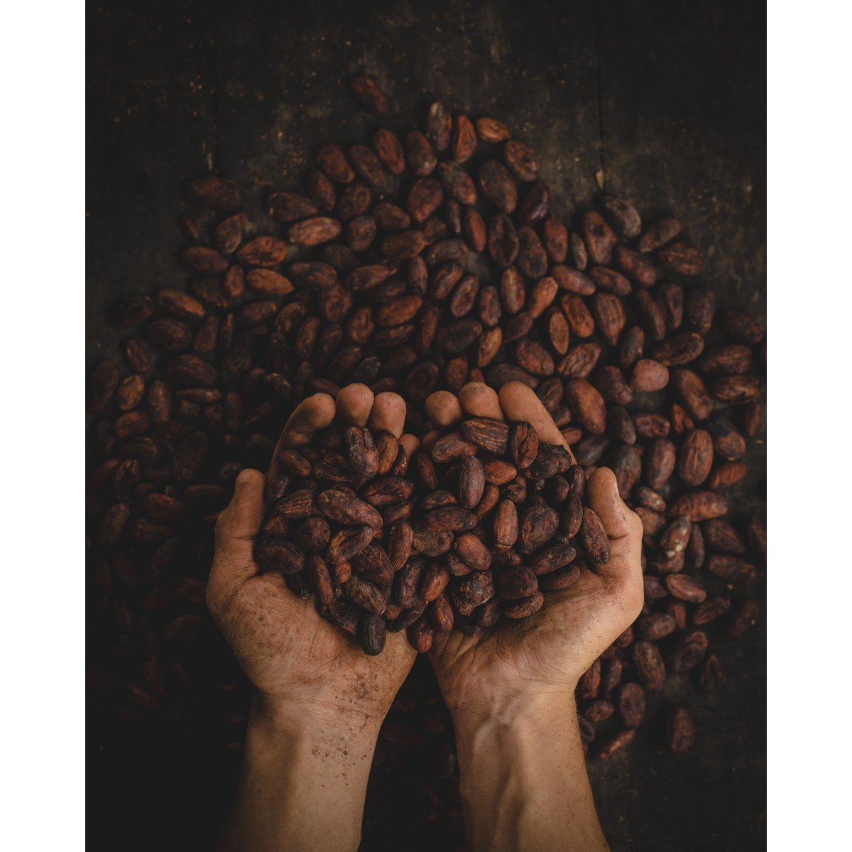 RAW COCOA Venezuela 500gr