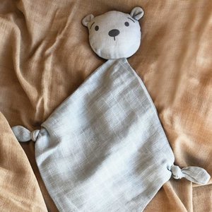 Robin Cuddle cloth Teddy