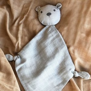 Robin Cuddle cloth Teddy