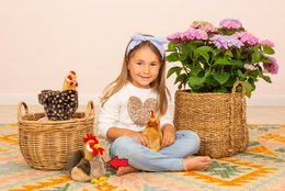 Haan 17 cm - knuffel - knuffel