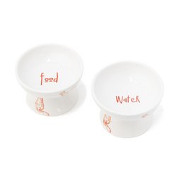 RAISED WHITE CAT FEEDER HF