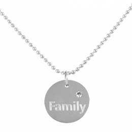 Chain with disc - Familiy on stainless steel ball chain