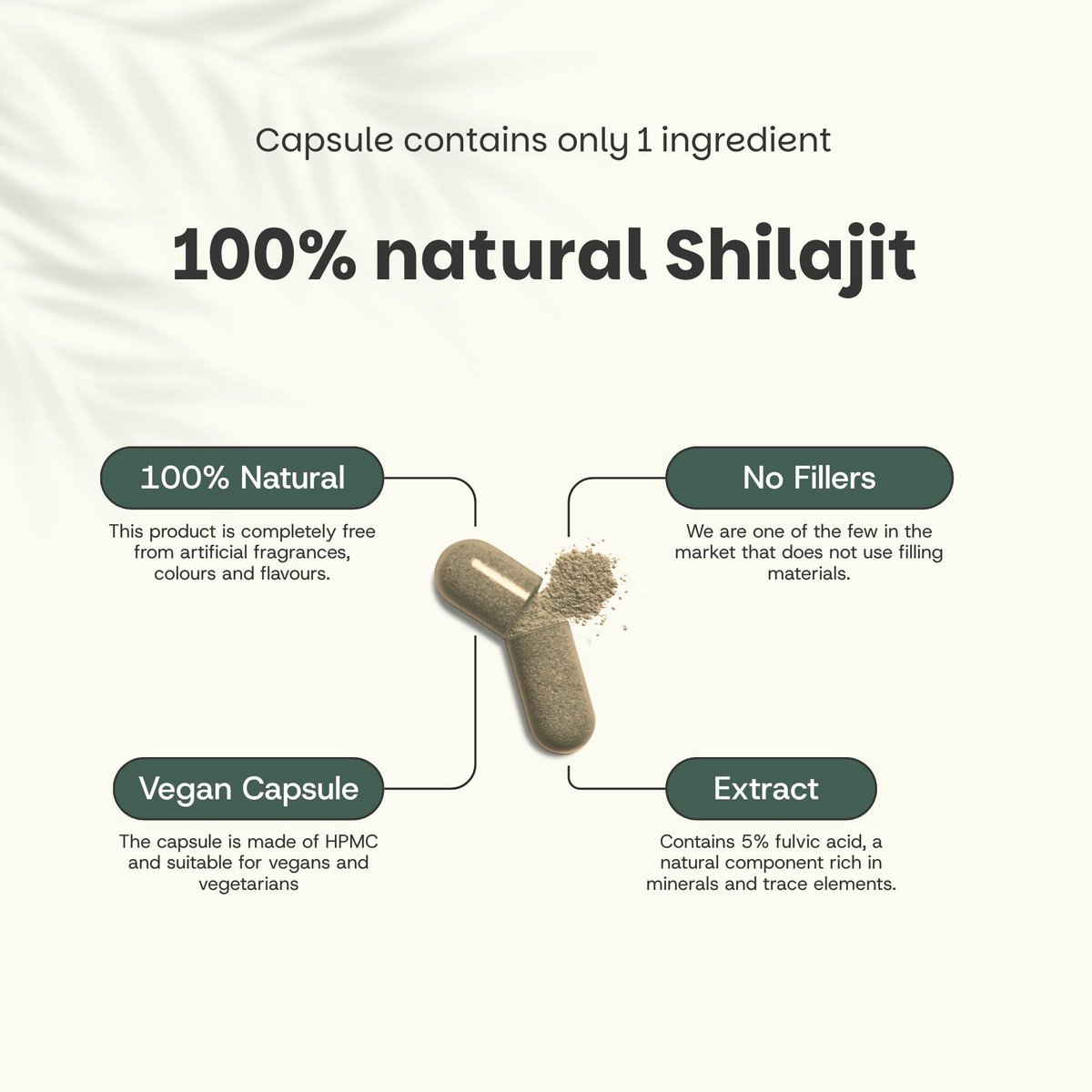 Estratto di Shilajit (5%) Capsule 500 mg - 60 Capsule