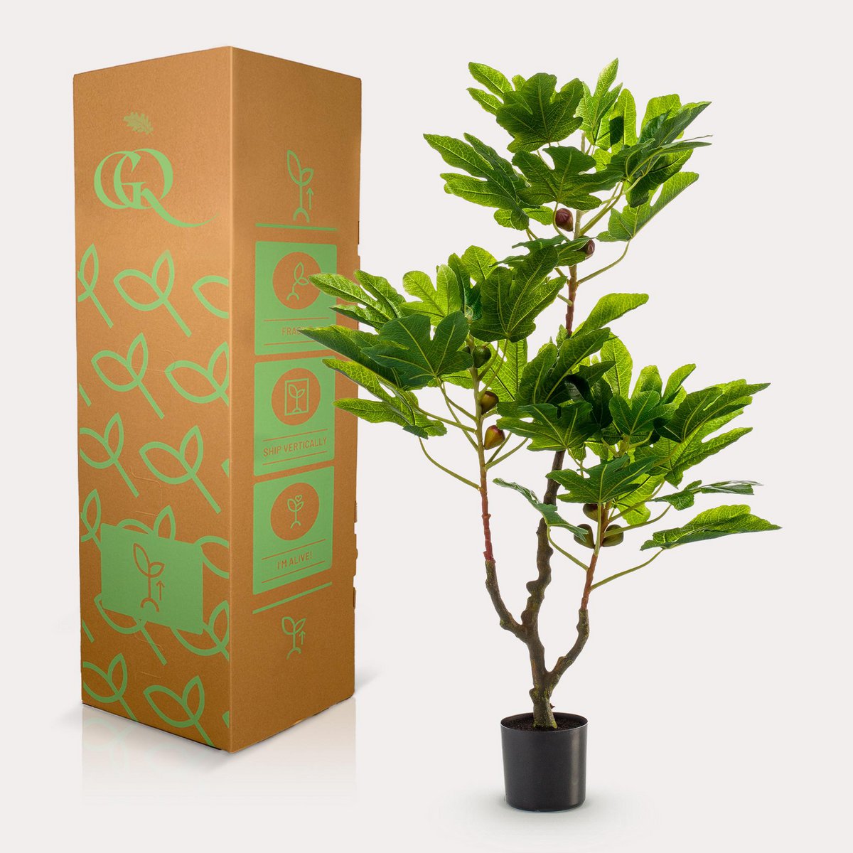 Plante d'art - Ficus carica - Figen Tree - 95 cm