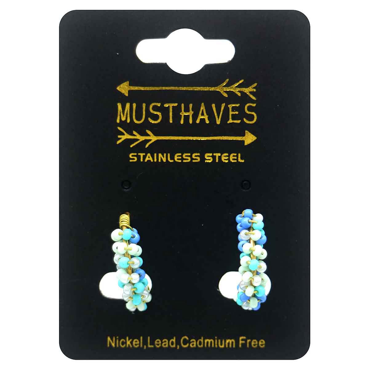 B-B4.3 E221-566-3 S. Steel Earrings Glassbeads