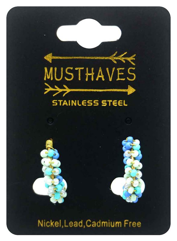 B-B4.3 E221-566-3 S. Steel Earrings Glassbeads