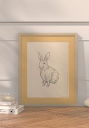 Framed illustration of a rabbit in various sizes and colors, suitable for wall art.