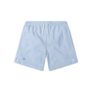 Swim Shorts - Blue/White - Blue Stripes