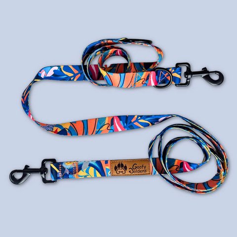 Multi-position Lagoon leash